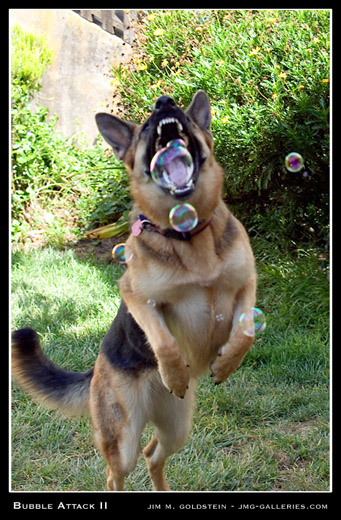 Bubble Attack II photographed by Jim M. Goldstein