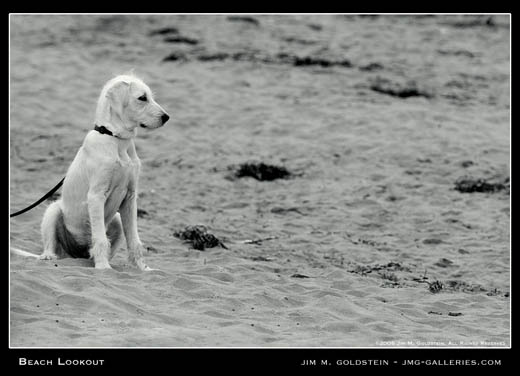 Beach Lookout