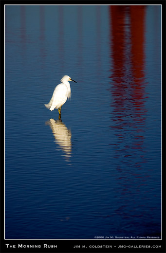 Morning Rush nature photograph by Jim M. Goldstein